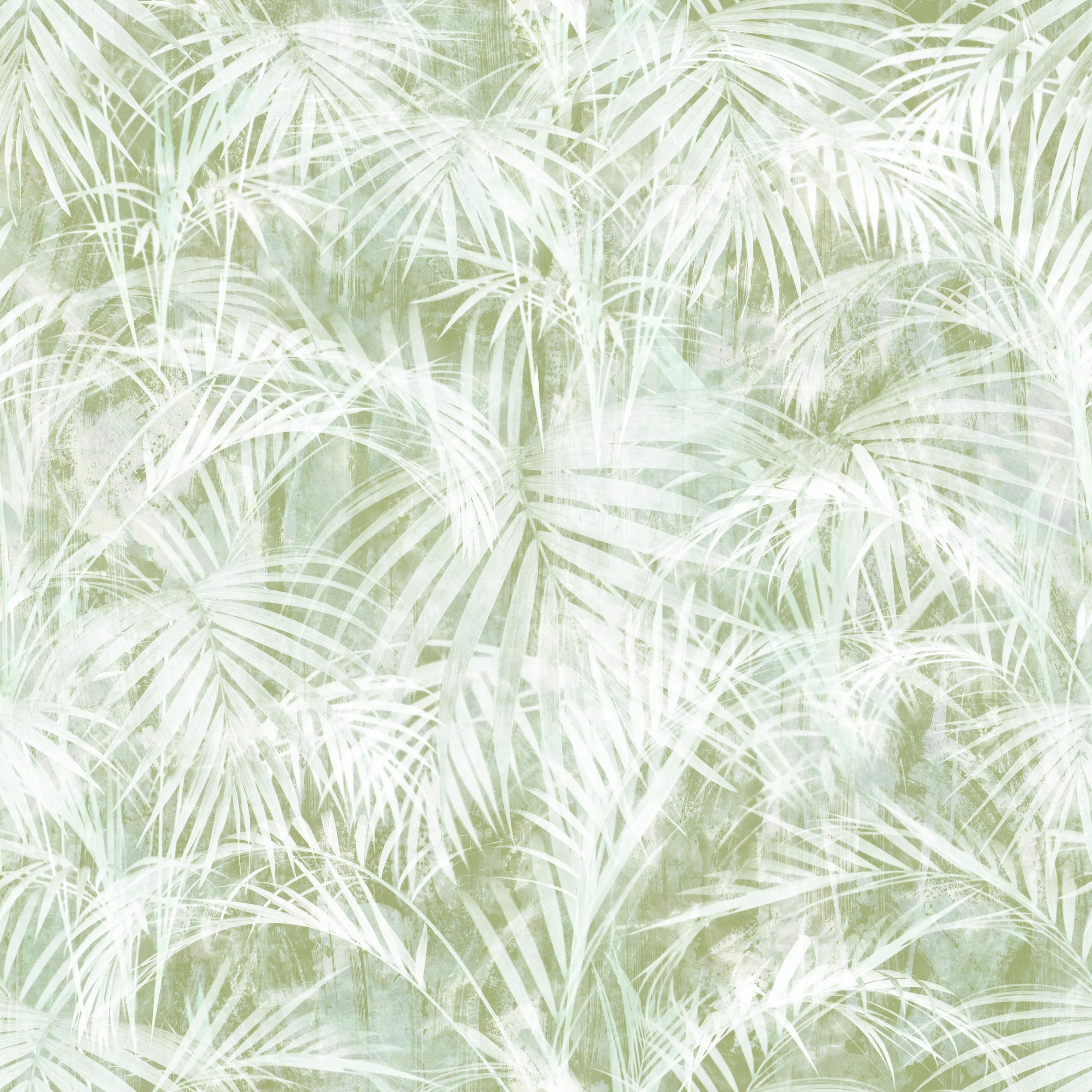 Airy Palms